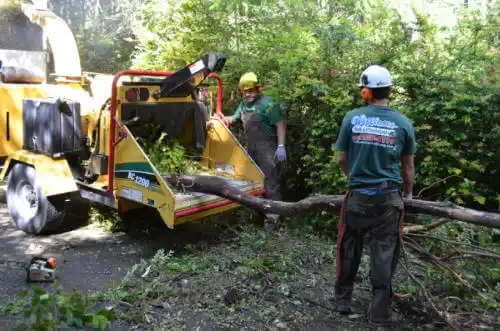 tree services Smith Corner